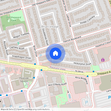 30 Hickorynut Dr Drive, Toronto