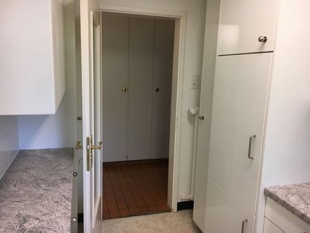 Simon #3 - Experience 60's Charm in Zürich's Green Oasis - Foto 5