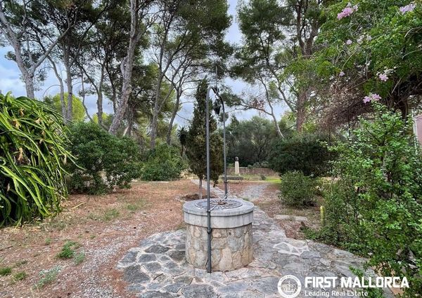 Ctra. Andratx, 11, 07181 Calvià, Illes Balears, Spain, Calvià, Balearic Islands 07181