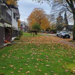 Trinity Street - Spacious Garden Suite with Private Yard - Photo 4