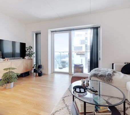 Skøn2'ermedaltan - Photo 1