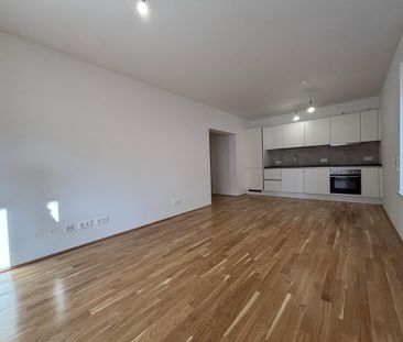 Schöne 3-Zimmerwohnung mit 20 m² Balkon im EG ab sofort bezugsfertig - Photo 4