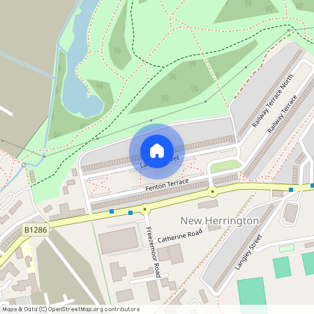 Lanton Street, New Herrington, Houghton Le Spring, Tyne and Wear, DH4 7BA