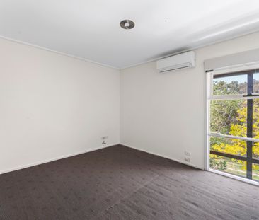 47A Winfield Road, Balwyn North VIC 3104 - Townhouse For Rent | Domain - Photo 3