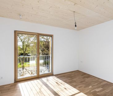 Holz-Hybridbau | Garten | Balkon - Photo 2