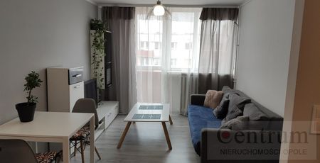 Opole, Centrum Mieszkanie na wynajem - Photo 2