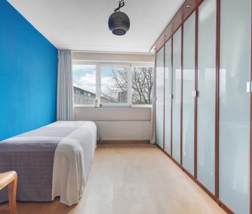 Pyreneeën 75 - Photo 6