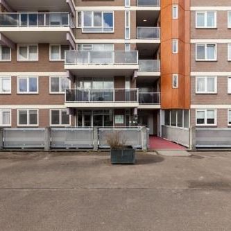Prattenburg, 2036 Haarlem, Nederland - Photo 1