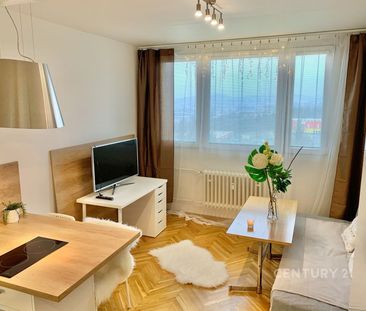 Pronájem bytu 1+kk a garsoniéry 24 m² - Fotografie 4
