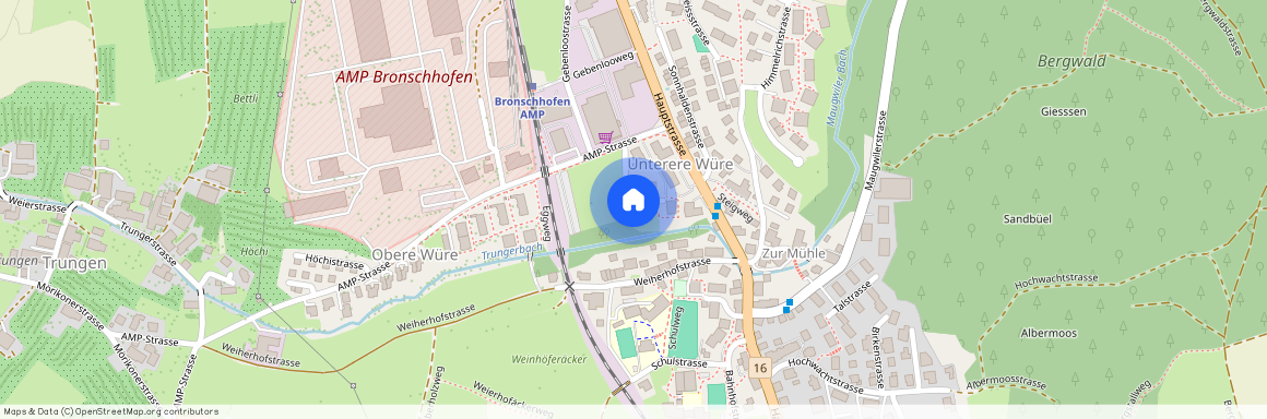 In der Würe 2, 9552, Bronschhofen