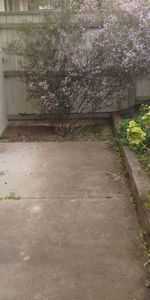 Central unit in a great location - Photo 4