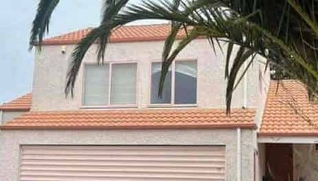 Westshore Summer - Photo 3