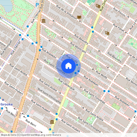 2020 Rue Atateken, Montréal (Ville-Marie), H2L3L8