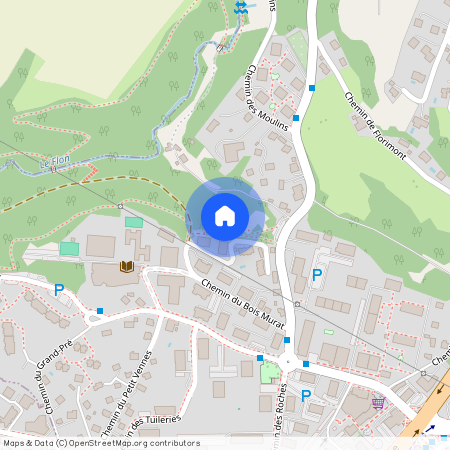 1066, Epalinges, Chemin Du Bois Murat, 26