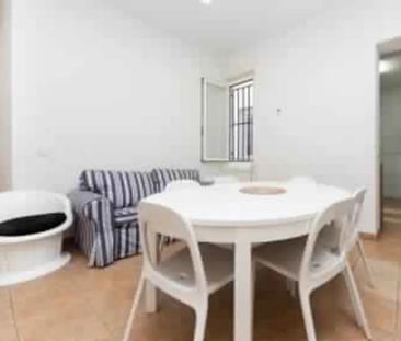 Calle Mesón de Paredes, Madrid, Community of Madrid 28012 - Photo 6