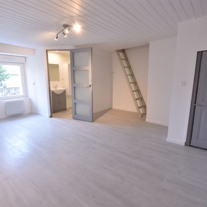 Location maison 2 pièces, 56.00m², La Baconnière - Photo 1