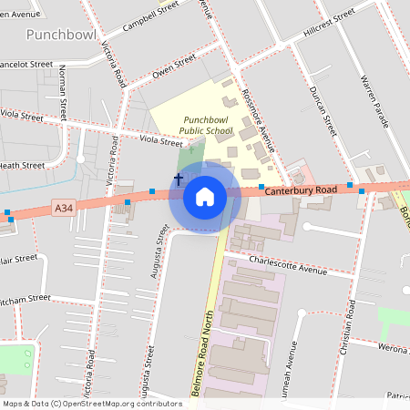 1390 Canterbury RD, NSW 2196, Punchbowl