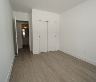 1 Bedroom - Photo 6