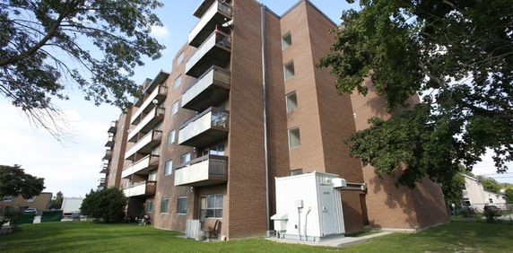 Collingwood Place - Photo 2