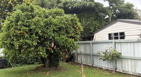 Start 2026 in Katikati - Photo 3