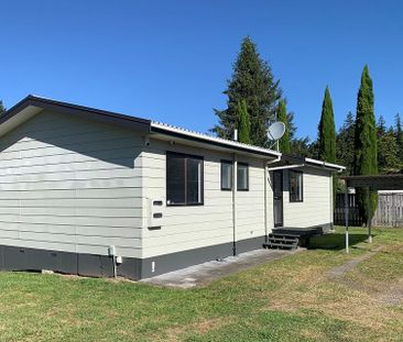 Renovated 3 bedroom home - Photo 4