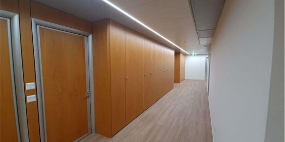 Büro mit 3 Räumen in bester Lage, nur zwei Schritte vom langen See in Paradiso - Foto 3