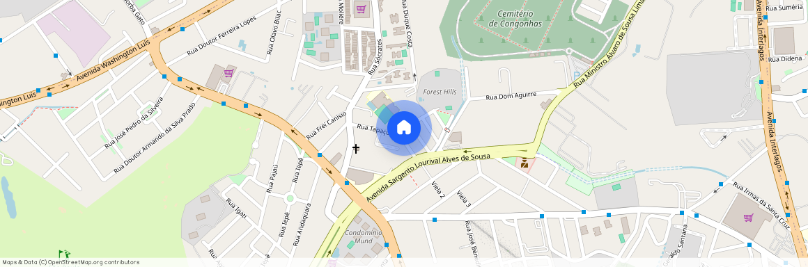 Rua Arlindo Veiga dos Santos, 125, Campo Grande, Jardim Marajoara, São Paulo - SP, 04671, Brazil