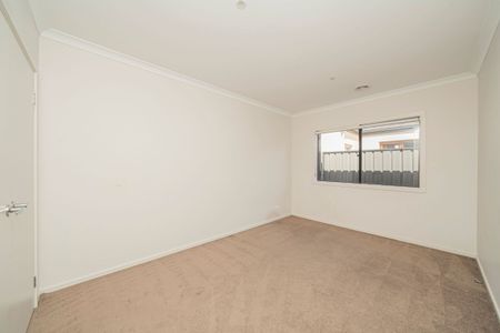 Spacious Family Home - walk to Hillcrest College - Photo 4