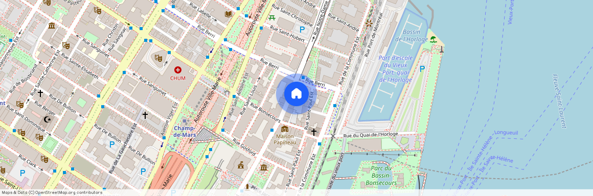 448 Rue Notre-Dame E., app. 504, Montréal (Ville-Marie), H2Y1C8