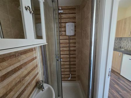 Studio Flat, Clarence Road, CR0 - Photo 5