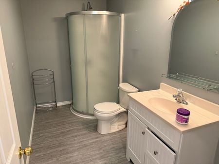 For Lease - 77 Cowan Avenue Unit# Lower, New Tecumseth, Ontario - Photo 4