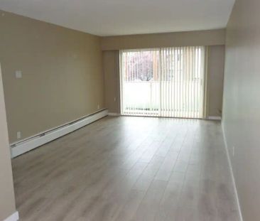 Villa Katya — 1 Bedroom - Photo 2