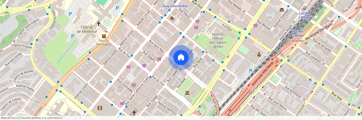 1251 Rue St Marc, Montréal (Ville-Marie), QC H3H