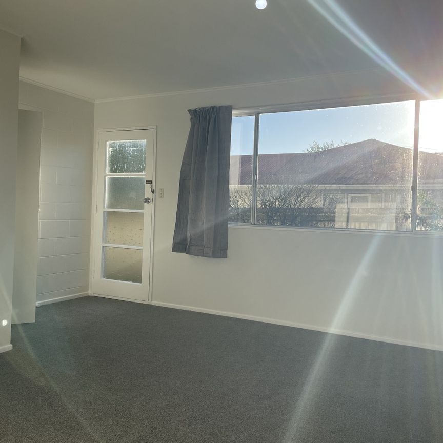 Renovated 2 bed near Upper Hutt CBD - Photo 1