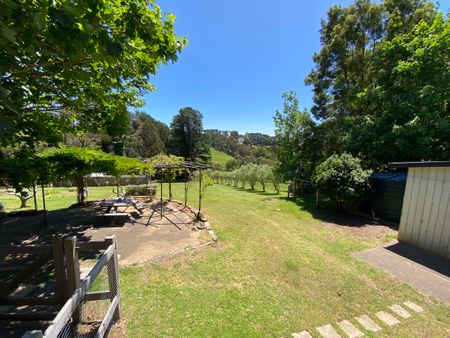 Red Hill, VIC, 3937 - Photo 5