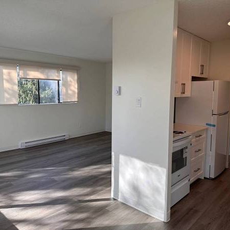 1-Bedroom Fully Renovated close to SkyTrain (Lougheed) - Photo 4