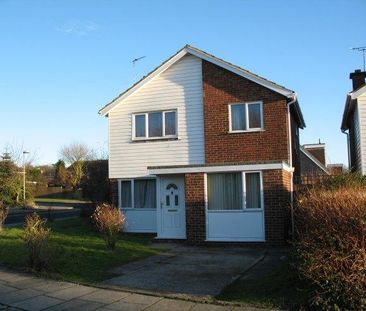 4 bedroom house share to rent - Photo 1