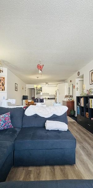 Antoine-du Verdier Appartement 4 ½ à Louer Sainte-Foy / Sillery Juillet 2026 - Photo 1