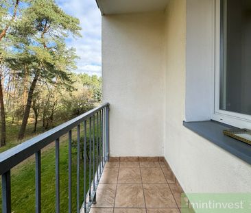 Do wynajęcia 2 pokoje, I piętro, Ul. Matejki - Photo 5