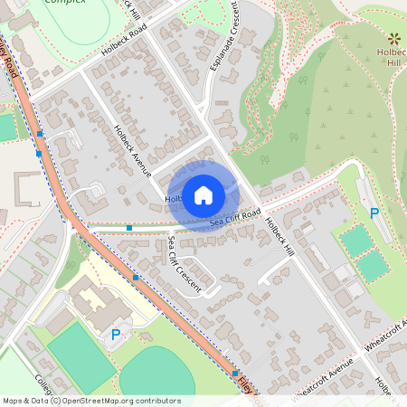 Sea Cliff Court, Scarborough YO11