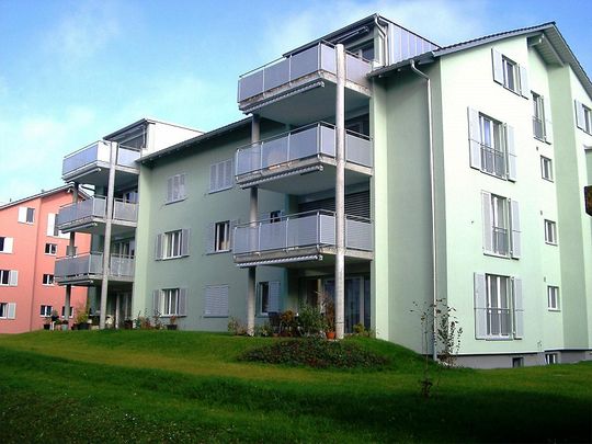 3.5 Zimmerwohnung in Schaffhausen - Foto 1