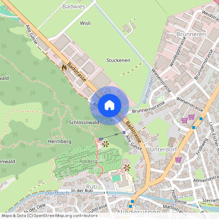 8867, Glarus Nord, Badstrasse, 41