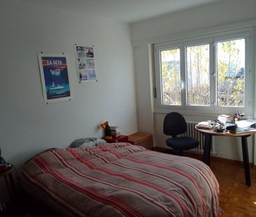 Bel appartement de 2 pièces à Lausanne avec vue sur lac - Foto 6