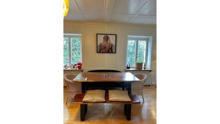 3½ Zimmer-Wohnung in Küsnacht (ZH), möbliert, auf Zeit - Foto 4