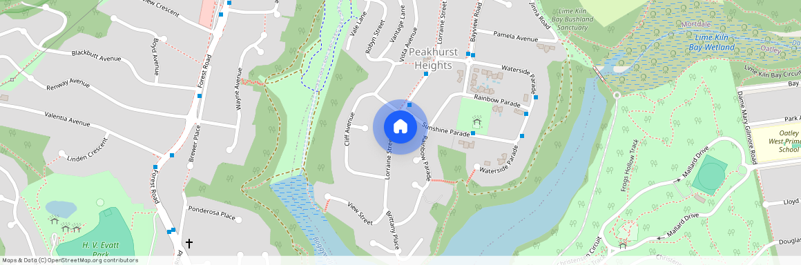 111 Lorraine Street, NSW 2210, Peakhurst Heights