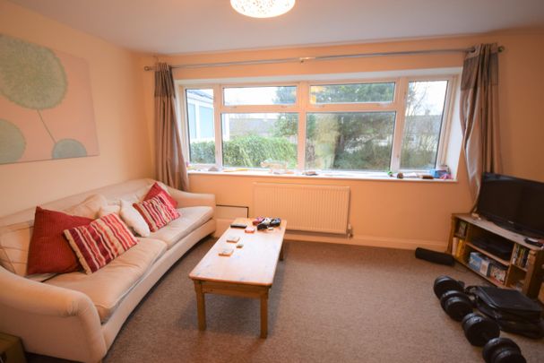 Double Room- Close to Hospital - Photo 1