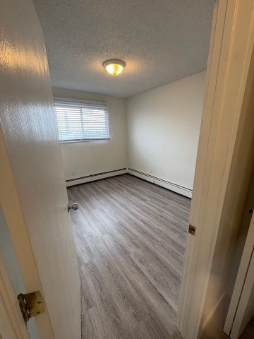 Nordic Apartments – 1 Bedroom *HEAT/HOT WATER/FREE LAUNDRY INCLUDED!!* - Photo 4