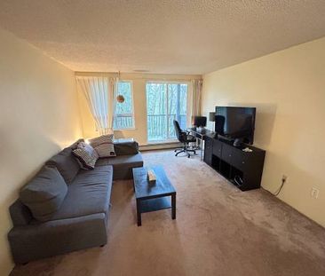 Furnished Large 1 bedroom Condo for rent! Utilities included! - Photo 4