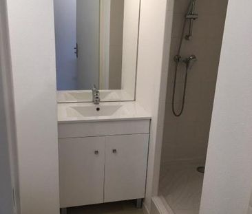 Location Appartement 1 pièce 19m² TOURS 37000 - Photo 3