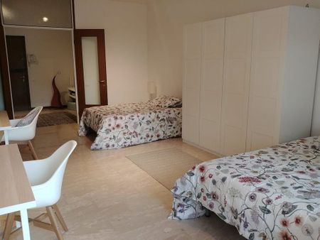 Via Luigi Pellizzo, Padova, Veneto 35128 - Photo 4